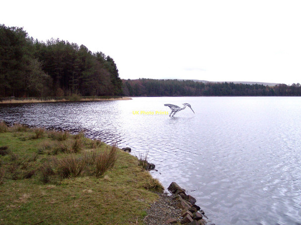 Photo 6"x4" Heron artwork at Turton and Entwistle Reservoirr Cadshaw c2011
