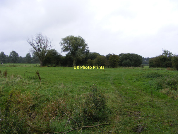 Photo 6"x4" Marshes near Earsham Bungay c2010
