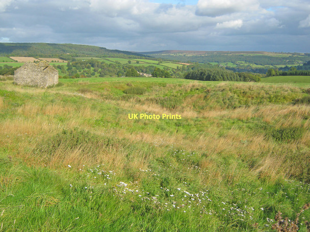 Photo 6"x4" Farmland on Haddon Fields Bakewell c2010