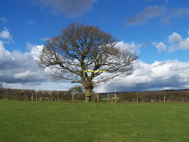 Photo 6"x4" Footpath To Coton Mill Farm Coton\/SJ9731 c2011 P1