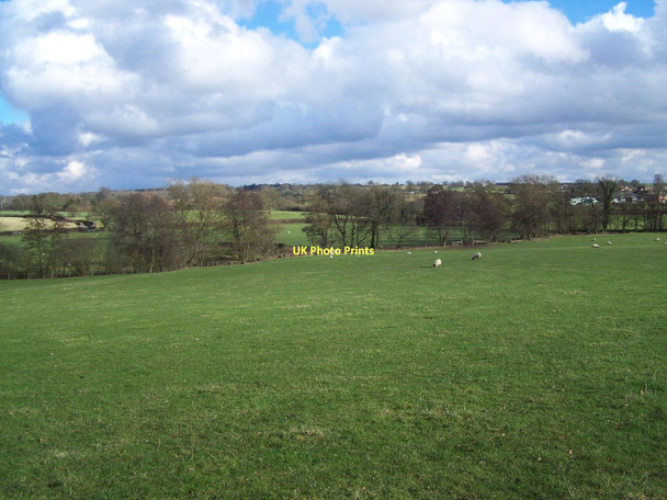Photo 6"x4" Footpath To Fradswell Coton\/SJ9731 c2011