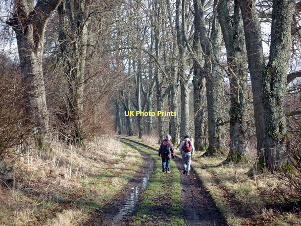 Photo 6"x4" South Drive, Rosehaugh Avoch c2011