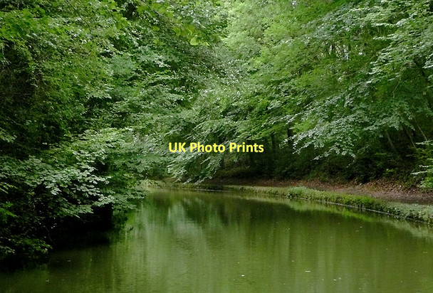 Photo 6"x4" Worcester and Birmingham Canal  east of Shortwood Tunnel Cobley Hill c2010