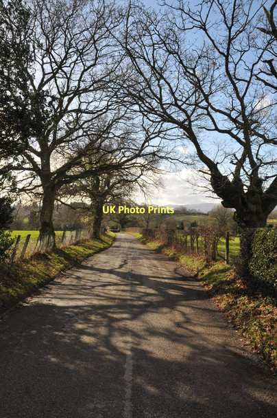 Photo 6"x4" Road to Llandegfedd Coed-y-paen c2011