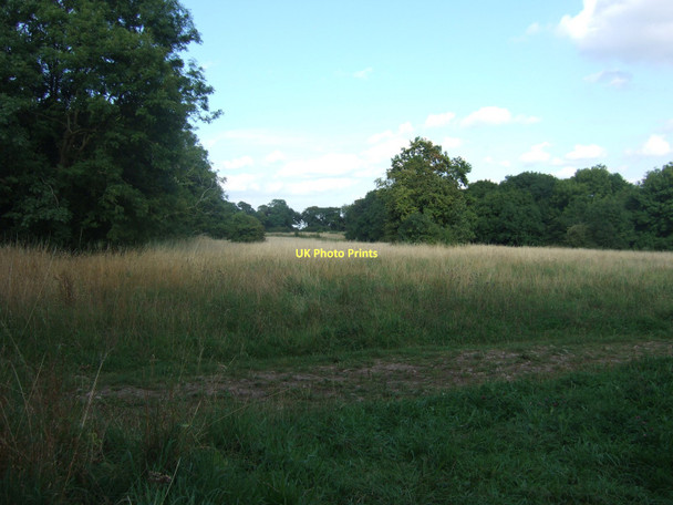 Photo 6"x4" Blaise Castle Estate - on Kings Weston Hill Blaise Hamlet c2009