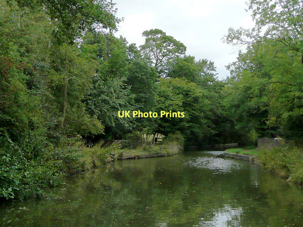 Photo 6"x4" Worcester and Birmingham Canal south of Alvechurch Alvechurch c2010