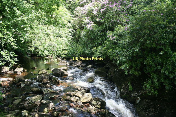 Photo 6"x4" River Avon, Brent Moor House Didworthy c2008