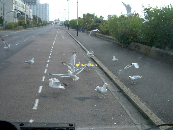 Photo 6"x4" Folkestone, Marine Parade Folkestone c2009