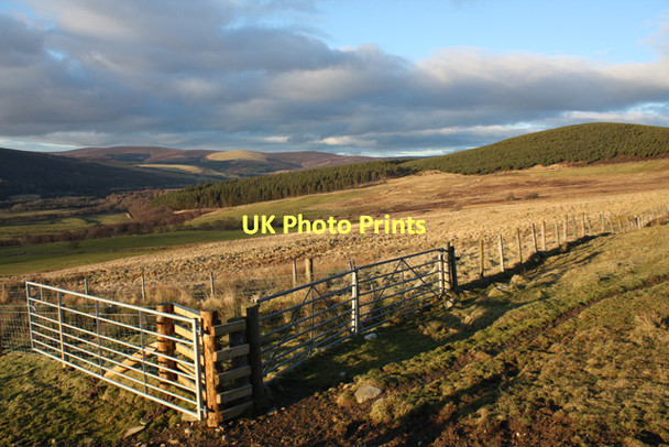 Photo 6"x4" Farm gates near Aultyoun Advie c2011