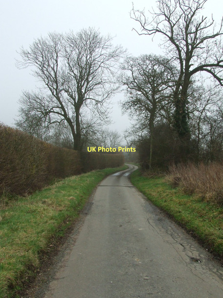 Photo 6"x4" Queens Lane Broad Green\/TL7859 c2011