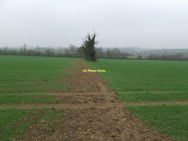 Photo 6"x4" Marked Footpath Birds End c2011