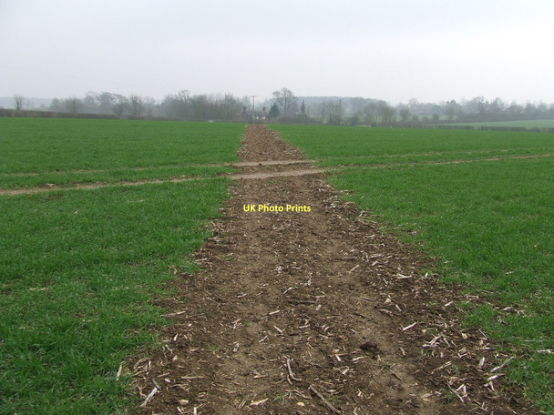 Photo 6"x4" Clear Footpath Birds End c2011
