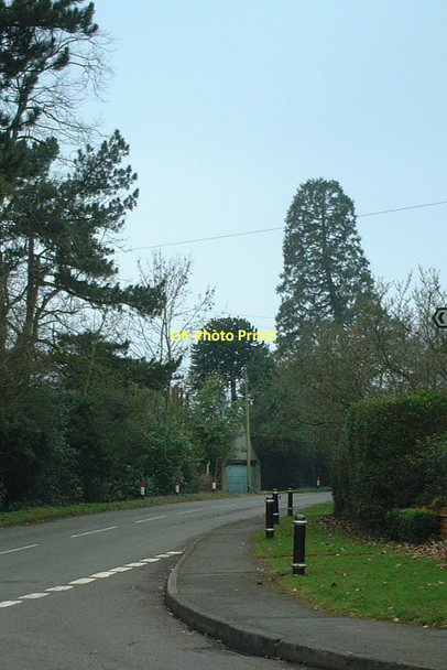 Photo 6"x4" Packhorse Lane Bateman's Green c2011