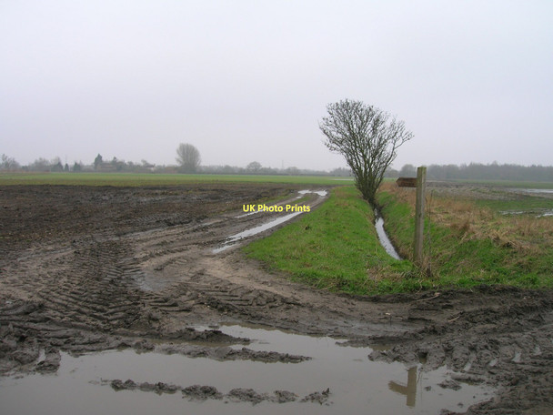 Photo 6"x4" Footpath off Barlow Common Road Barlow\/SE6428 c2011