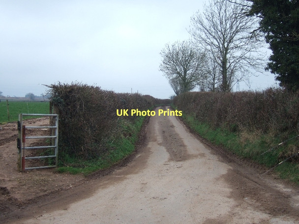 Photo 6"x4" Tithebarn Lane Clyst Honiton c2011
