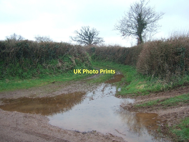 Photo 6"x4" Green lane near Holbrook Farm Clyst Honiton c2011