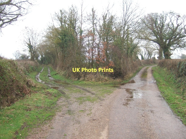Photo 6"x4" Green lane near Holbrook Farm Clyst St Mary c2011