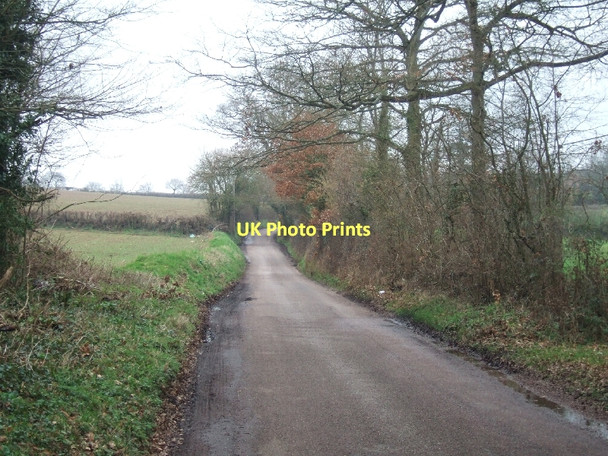 Photo 6"x4" Bishops Court Lane Clyst St Mary c2011