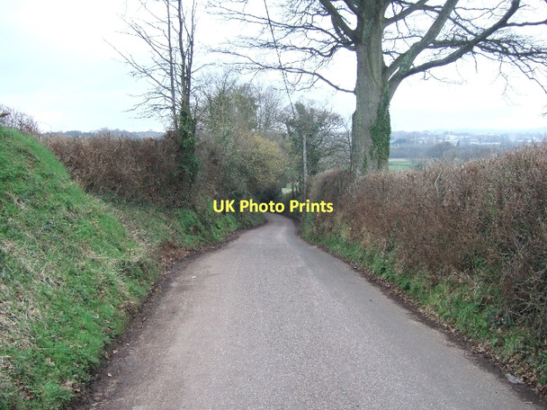 Photo 6"x4" Bishops Court Lane approaching Clyst St Mary Clyst St Mary c2011 P1