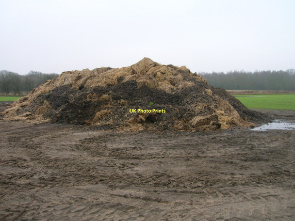Photo 6"x4" Manure heap near the A1041 Brayton c2011