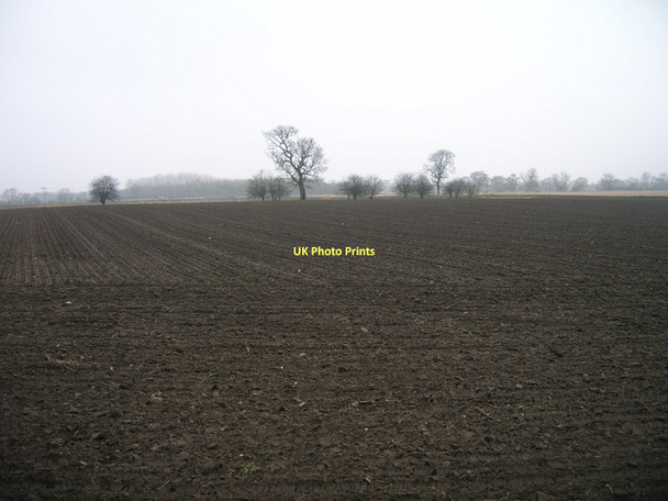 Photo 6"x4" Farmland north of Mill Lane Carlton\/SE6424 c2011