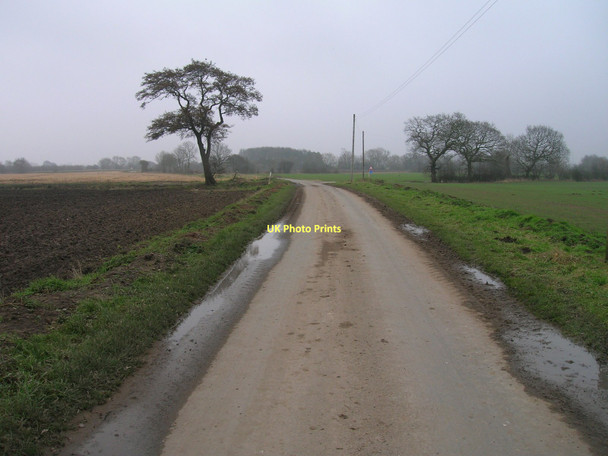 Photo 6"x4" Mill Lane heading east Carlton\/SE6424 c2011