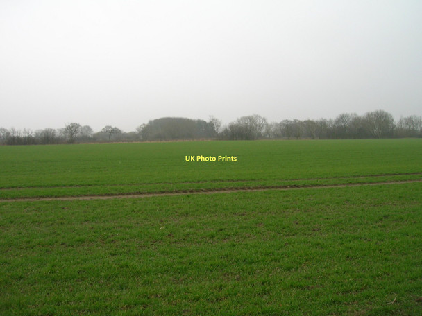 Photo 6"x4" Farmland off Ings Lane East Cowick c2011
