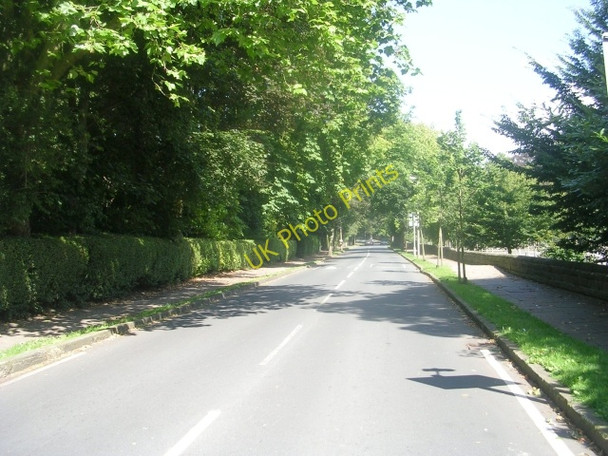 Photo 6"x4" Old Park Road - viewed from Lidgett Park Road Lidgett Park c2009