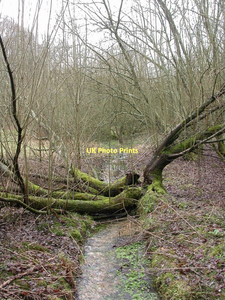 Photo 6"x4" Bleak Hill, stream Bleak Hill c2011