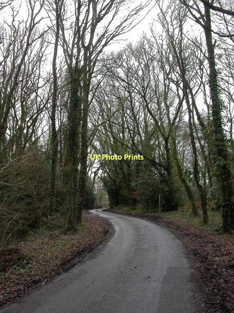 Photo 6"x4" Bleak Hill Bleak Hill c2011