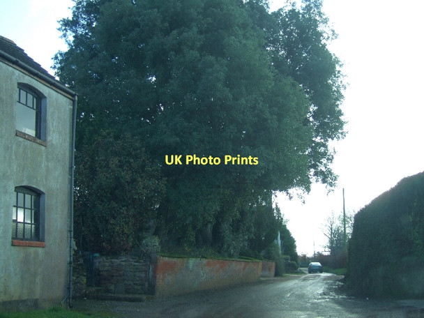 Photo 6"x4" A damp road in Burrow Burrow\/SX9997 c2011