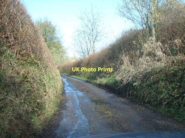 Photo 6"x4" Road to Ashclyst Forest Burrow\/SX9997 c2011