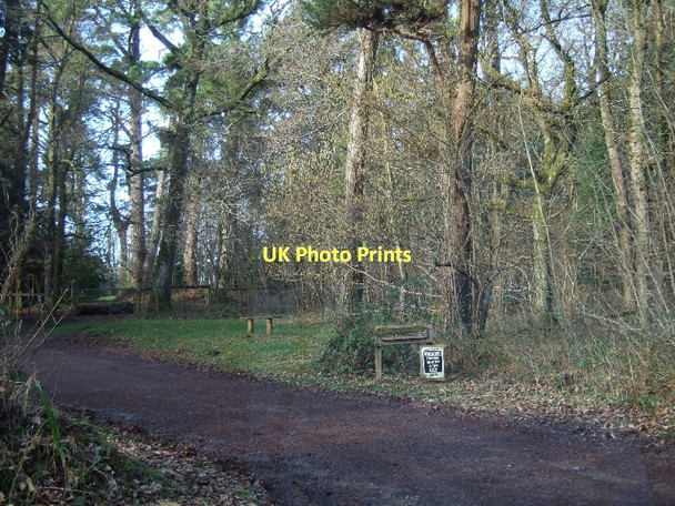 Photo 6"x4" Car park in Ashclyst Forest Hollis Head c2011