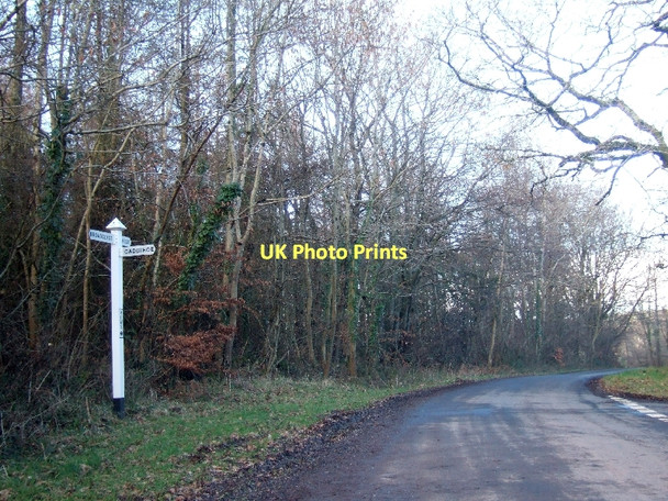 Photo 6"x4" Rews Cross in Ashclyst Forest Hollis Head c2011