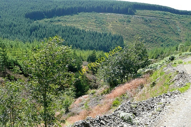 Photo 6"x4" Cwm y Groes-fagl Nant y Groes-fagl c2009