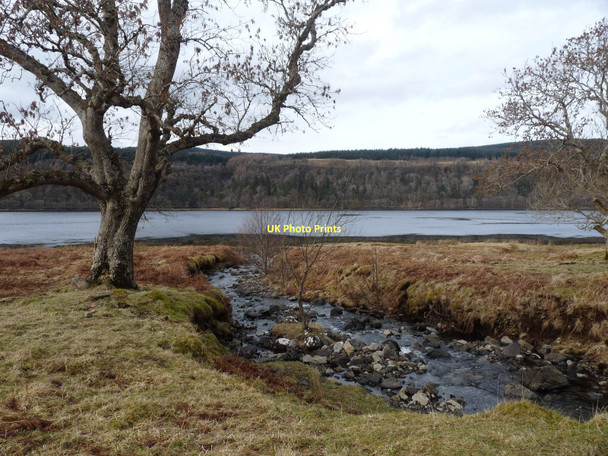 Photo 6"x4" A burn reaches the east shore of Loch Aline Lochaline \/ Loch \u00c0lainn c2011