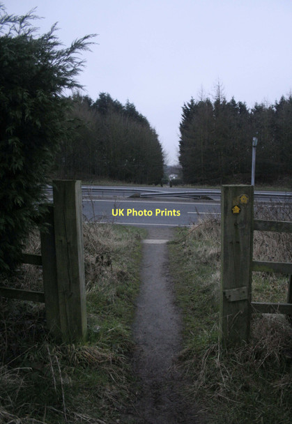 Photo 6"x4" Road Crossing Kelsall c2004