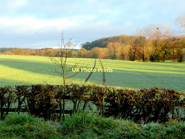 Photo 6"x4" Frosty field Staunton\/SO7829 c2011