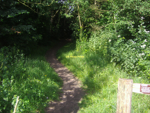 Photo 6"x4" Footpath to Pyrford golf club Ridgway\/TQ0459 c2009