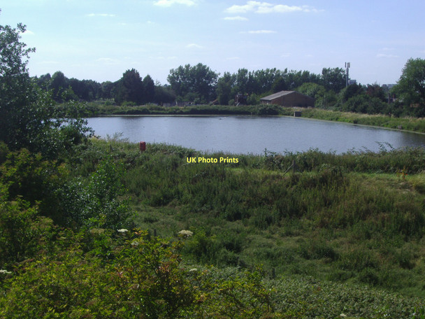 Photo 6"x4" Pond at sewage treatment plant, Berrylands New Malden c2008