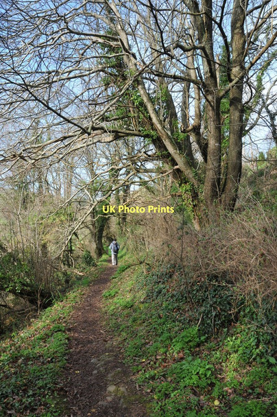 Photo 6"x4" Footpath to Combe Salcombe c2011