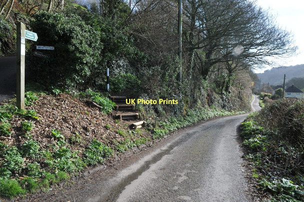 Photo 6"x4" Footpath to South Sands Salcombe c2011