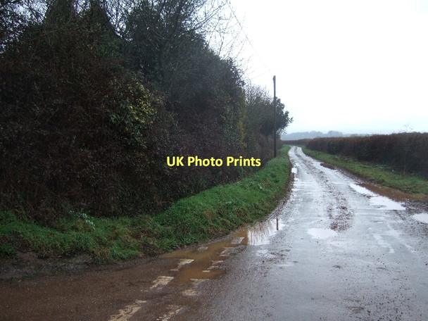 Photo 6"x4" Road north from Burrow Farm Nether Exe c2011
