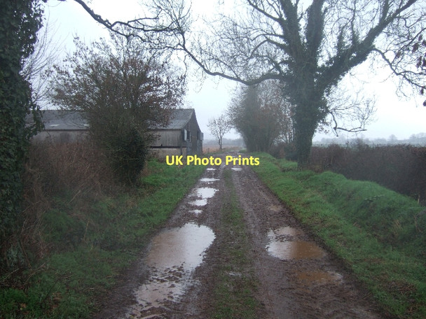 Photo 6"x4" Green Lane and barn Nether Exe c2011