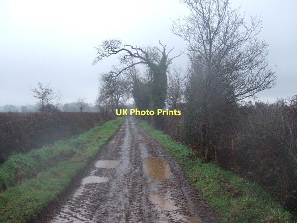 Photo 6"x4" Green Lane Nether Exe c2011