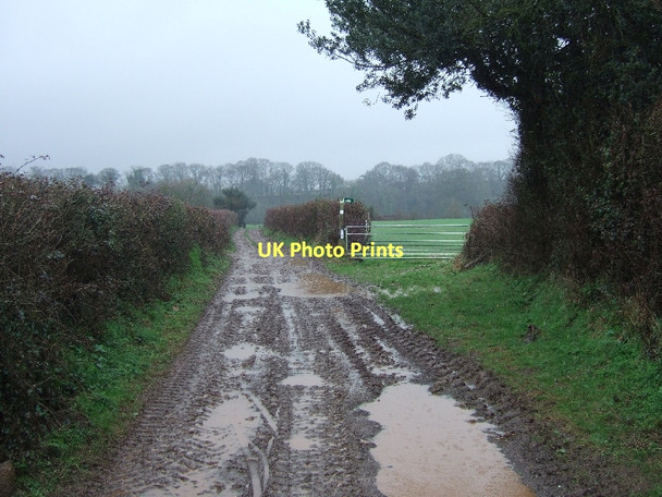 Photo 6"x4" Muddy Lane at Nether Exe Nether Exe c2011