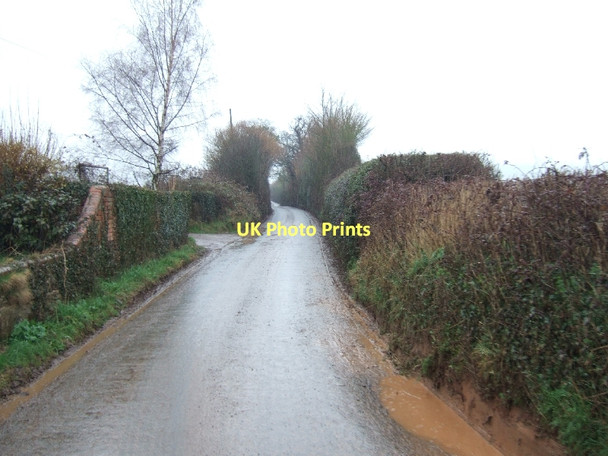 Photo 6"x4" Road north from Nether Exe Nether Exe c2011