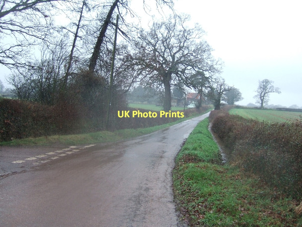 Photo 6"x4" Road to Brampford Speke from Fortescue Cross Brampford Speke c2011