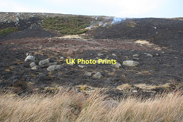 Photo 6"x4" Heather Burning Carn nan Clach Garbha c2011