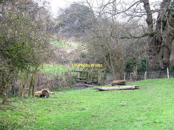 Photo 6"x4" Entry to Starmore Wood Shorne Ridgeway c2011